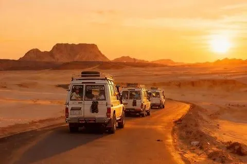 Super Safari *
